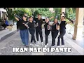 Download Lagu IKAN NAE DI PANTE - PNK LINE DANCE
