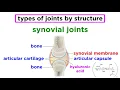 Joints Structure and Types of Motion