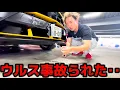 Download Lagu [Bumper Shattered] Urus hit hard and hospitalized for 3 months...