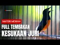 MURAI BATU GACOR FULL ISIAN TEMBAKAN MEWAH CILILIN KAPAS TEMBAK CUNGKOK LOVEBIRD TENGKEK DLL