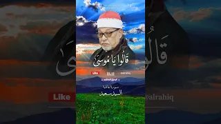 روائع الشيخ السيد سعيد سورة المائدة 