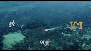 Kenny Sol Feat Harmonize One More Time Official Video  Kenny Sol Feat Harmonize One More Time Official Video