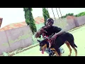 Download Lagu Kwajo Yob ft E.K Nyame. Kwajo Krika (Official Video)