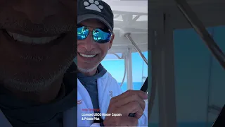 Join us for a special half-day sailing experience during the Annapolis Boat Show, Oct. 9-15, 2024!