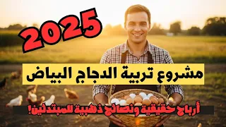 مشروع تربية الدجاج البياض 2025 أرباح حقيقية ونصائح ذهبية للمبتدئين 