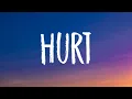 Download Lagu OneRepublic - Hurt (Lyrics)