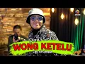 Download Lagu WONG KETELU - DIANA SASTRA ( Resiko dadi wong ketelu )