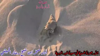 حمدا لمن هداني لسنة العدنان  ارجو من الله العالي غفران كل الزللي دندنها