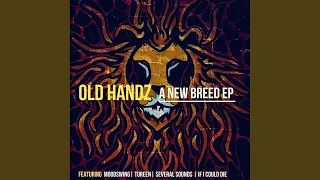moodswing original mix 