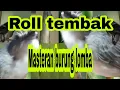 Roll tembak cigun dan suara gemericik air||masteran burung juara
