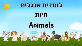 לומדים אוצר מילים אנגלית ללמוד אונליין לילדים מילים ראשונות באנגלית חיות 