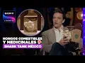Shark Tank Mexico Garden Kuuts edible mushrooms and more Sony Channel