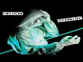 Download Lagu Heldon - Stand By (1978) Full Album (Prog Electronic, Avant-Prog, Berlin School, Space Rock \u0026 Zeuhl)