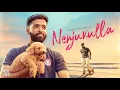 Download Lagu Nenjukulla (Official Music Video) 🐶🐾 - Rajaganapathy ft. Yippie  | RG RECORDS