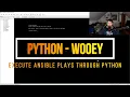 Python - Wooey