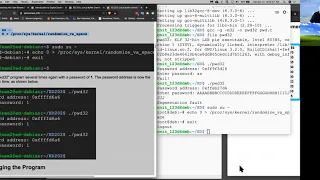 Linux Buffer Overflows
