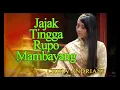 Download Lagu Chika Andriani • Jajak Tingga Rupo Mambayang (Official Music Video)