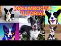 Dreambooth Tutorial Train Stable Diffusion Image AI With Your Own Model For Less Than a Dollar
