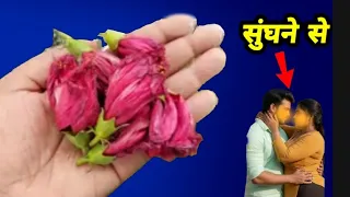 कमजोर नसों मे जान फूंक देगा ये चीज़, बस लगाते हि होगा असर इतना तेज है यह आयुर्वेदिक औषधि जड़ी बूटी