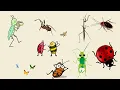 Can You Guess the Insect Sound? | Bug Sounds | Test Your Nature IQ!