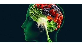 كيف تزيد نسبة الذكاء 