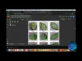 Deep learning project end to end Potato Disease Classification Using CNN