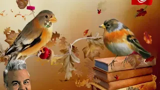 أنا كالطير علي الرياحي تراث تونس 