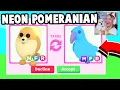 Trading NEW NEON POMERANIAN in Adopt Me