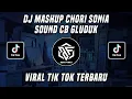 Lagu DJ MASHUP CHORI SONIA - DJ MANIKCI REMIX SOUND CB GLUDUK🐊 VIRAL TIK TOK TERBARU 2022