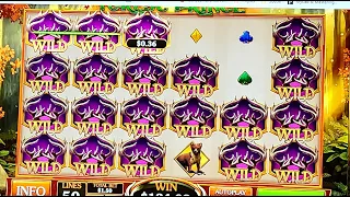 CASINO BET365 - SUPER BIG WIN