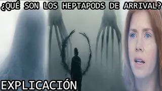 ¿Qué son los Heptapods de Arrival? | Los Misteriosos Heptapods de La Llegada Explicados