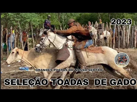 Download MP3 Seleção Toadas De Gado -  Vaqueiro Cavalo e Boi - Pega de Boi No Mato!