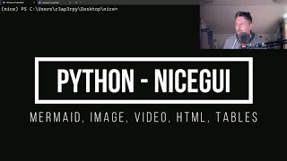 Python - NiceGUI