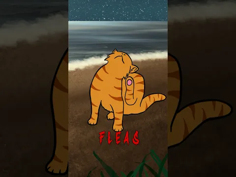 Song: Fleas and Parasites by Ridiculon #animation #mewgenics