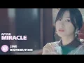 Lagu Apink (에이핑크) - Miracle (기적 같은 이야기) (Line Distribution)
