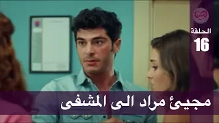 الحب لا يفهم الكلام الحلقة 16 مجيئ مراد الى المشفى 