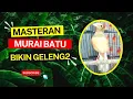 Download Lagu MASTERAN MURAI BATU JUARA GACOR BIKIN GELENG GELENG