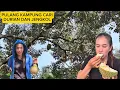 Download Lagu PULANG KAMPUNG ORANG TUA CARI DURIAN \u0026 JENGKOL. ISI DURIANNYA SANGAT MEMUASKAN