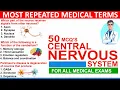 central nervous system mcqs with answers mcq on central nervous system nervous system mcqs