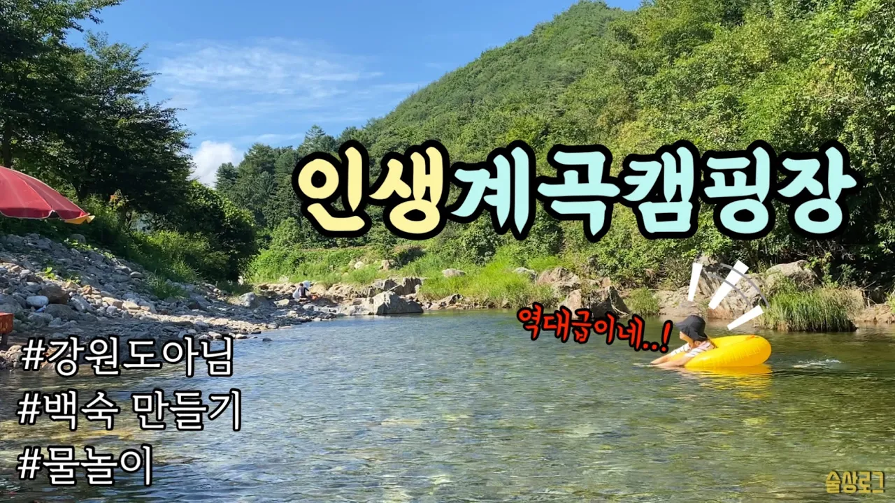 [술상로그] 역대급 물놀이 즐긴 계곡캠핑(feat.폭염 그게 뭐죠,,?) | 생애 첫 백숙 끓이기 | 애견동반 가능한 영동 물한계곡 캠핑장 | 육개장컵라면•망한 팥빙수•불멍 サムネイル