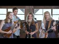 Download Lagu Desperado - The Petersens (LIVE)