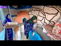 Download Lagu Narges delighted viewers with her work.