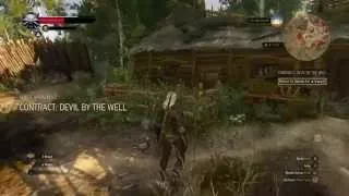 The Witcher 3 - Devil in the Well