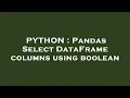 PYTHON Pandas Select DataFrame columns using boolean