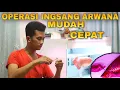 Download Lagu CARA CEPAT OPERASI INSANG IKAN ARWANA MELIPAT BAGI PEMULA Dengan MUDAH