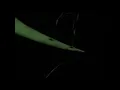 Brenky - Sleep Tight