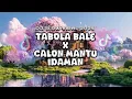 Download Lagu DJ Tabola Bale X Calon Mantu Idaman – Full Bass Slow Viral TikTok 2025 #dj #tabolabale #calonmantu