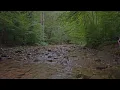 Morning River Sounds 🌲 Bavarian Alps Flowing Water & Soft Birdsong | Relaxation & Sleep • 1 Hour 4K