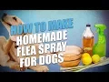Download Lagu DIY Homemade Flea Spray for Dogs (3 Cheap, Natural Recipes)