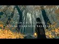 Lagu 闇に溶ける、静かな森のケルトBGM｜ Quiet Celtic Music Melting into Darkness − Dark-Hued Celtic BGM